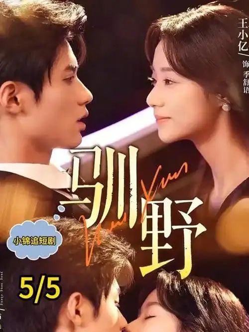 暗巷档案全集手机免费在线观看